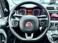 Fiat Panda Panda 1.0 firefly hybrid City Life s Blanc - thumbnail 10