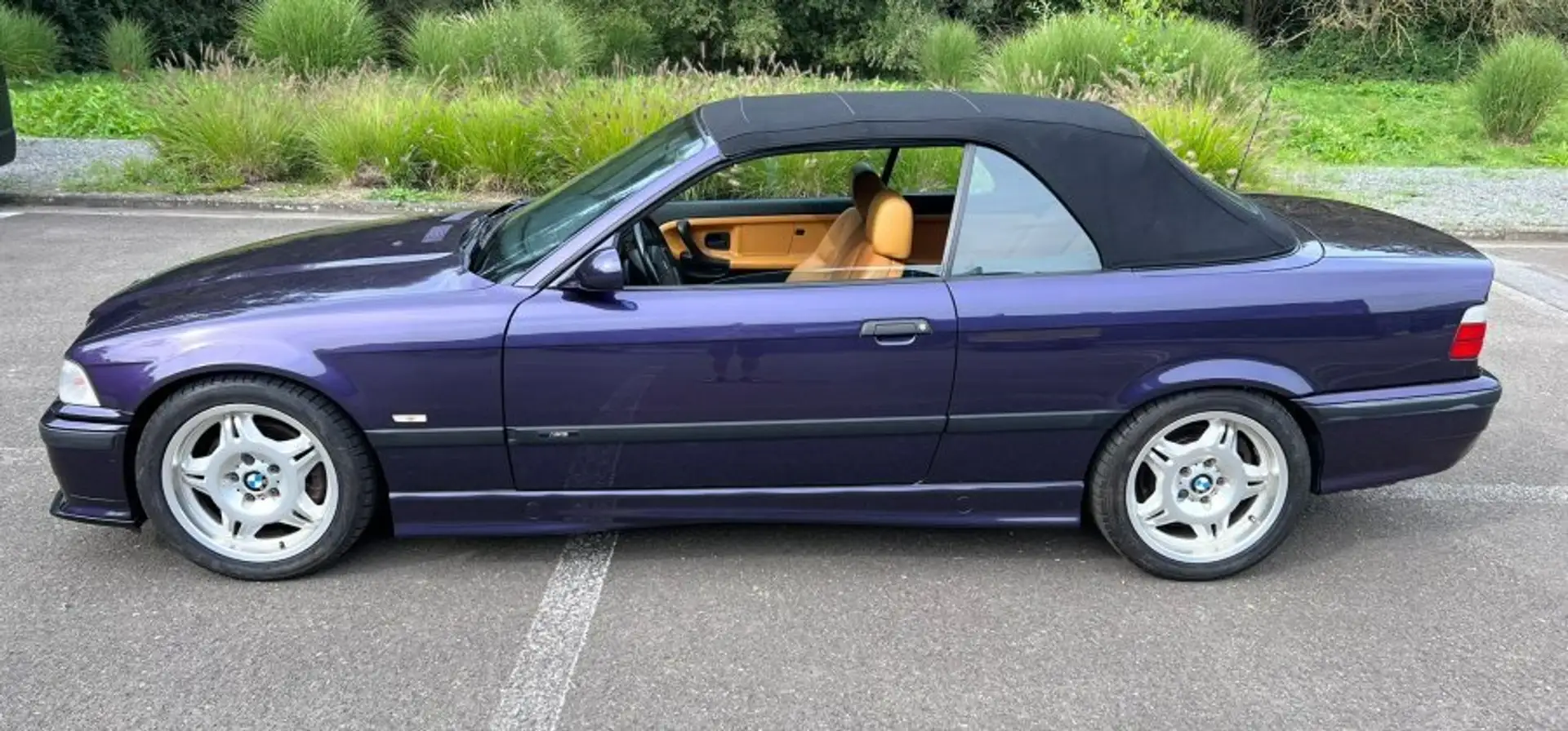 BMW M3 M3 Mauve - 2