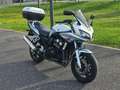 Yamaha FZS 600 FZS 600 FAZER Plateado - thumbnail 9