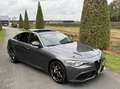 Alfa Romeo Giulia 2.0t Q4 Veloce, Pano, Carbon, leder dash!! 19 inch Gris - thumbnail 45