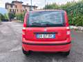 Fiat Panda FIAT PANDA 1,2 BENZINA/METANO- OK NEOPATENTATI Rot - thumbnail 4