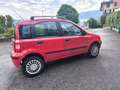 Fiat Panda FIAT PANDA 1,2 BENZINA/METANO- OK NEOPATENTATI Rot - thumbnail 6