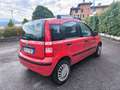 Fiat Panda FIAT PANDA 1,2 BENZINA/METANO- OK NEOPATENTATI Rot - thumbnail 5