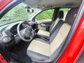Fiat Panda FIAT PANDA 1,2 BENZINA/METANO- OK NEOPATENTATI Rot - thumbnail 12