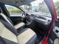 Fiat Panda FIAT PANDA 1,2 BENZINA/METANO- OK NEOPATENTATI Rot - thumbnail 14
