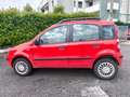 Fiat Panda FIAT PANDA 1,2 BENZINA/METANO- OK NEOPATENTATI Rot - thumbnail 9