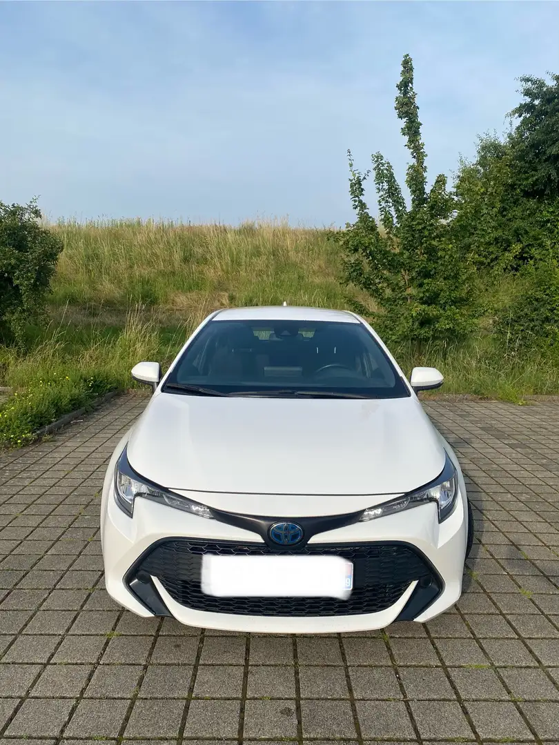 Toyota Corolla Weiß - 2