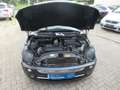 MINI One Cabrio One 2 Hand Schwarz - thumbnail 11