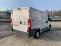 Fiat Ducato 30 2.0 MJT PC-TN Furgone Bianco - thumbnail 5