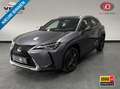 Lexus UX 250h Business Line / PDC v+a / Stuur- en stoelverwarmin Gris - thumbnail 1