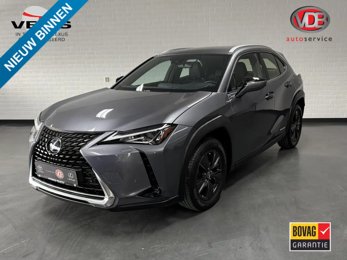 Lexus UX 250h Business Line / PDC v+a / Stuur- en stoelverwarmin Gris - 1