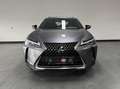 Lexus UX 250h Business Line / PDC v+a / Stuur- en stoelverwarmin Gris - thumbnail 2