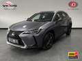 Lexus UX 250h Business Line / PDC v+a / Stuur- en stoelverwarmin Grigio - thumbnail 1