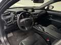 Lexus UX 250h Business Line / PDC v+a / Stuur- en stoelverwarmin Gris - thumbnail 10