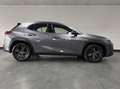 Lexus UX 250h Business Line / PDC v+a / Stuur- en stoelverwarmin Gris - thumbnail 6