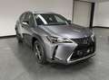 Lexus UX 250h Business Line / PDC v+a / Stuur- en stoelverwarmin Gris - thumbnail 3