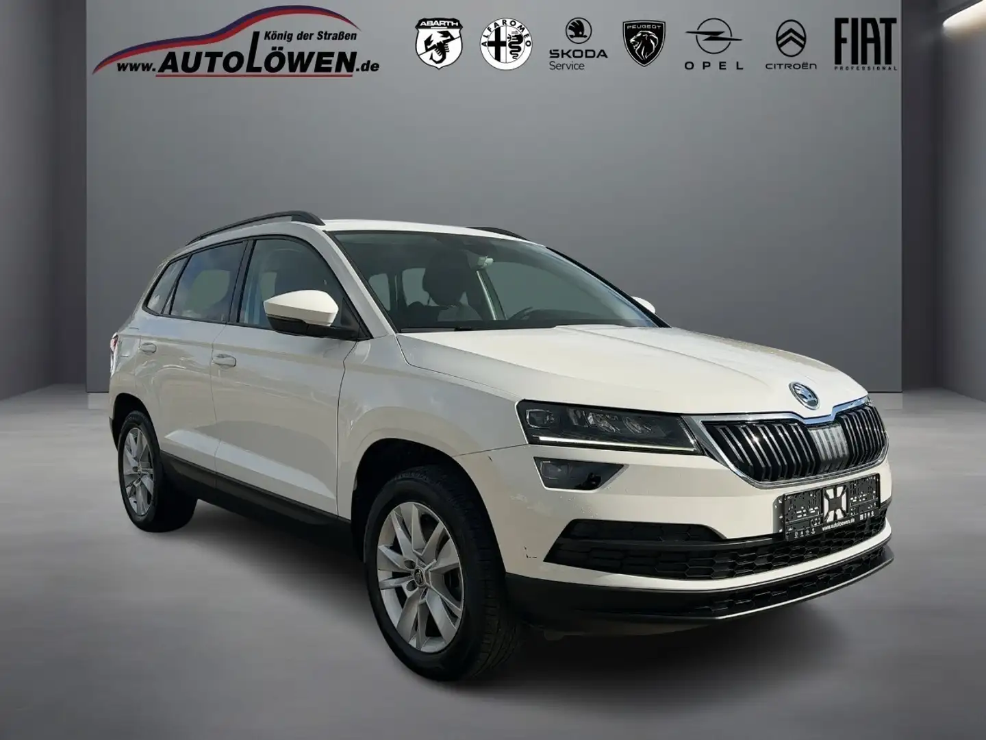 Skoda Karoq Navigationssystem Rückfahrkamera Bianco - 2