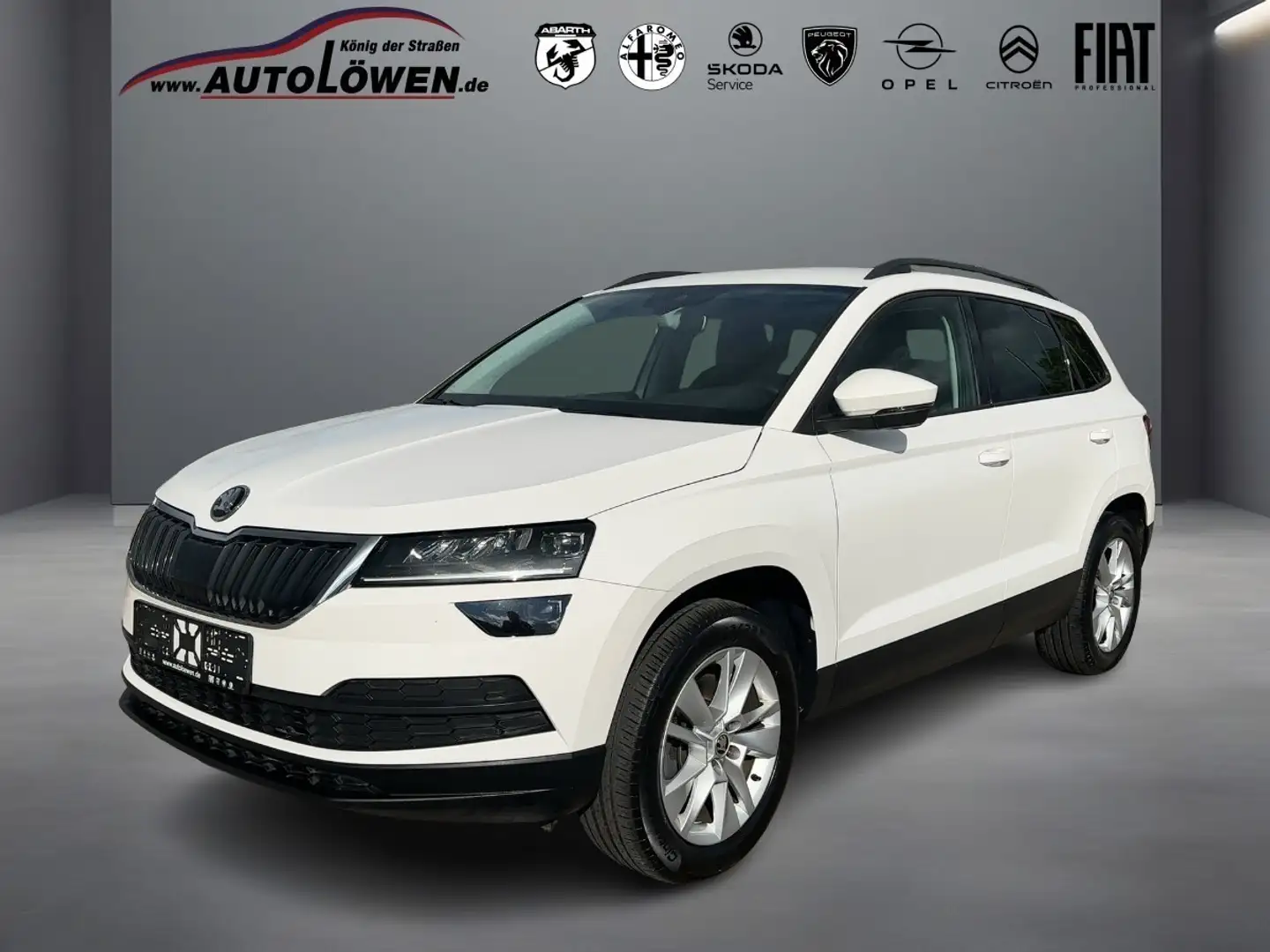 Skoda Karoq Navigationssystem Rückfahrkamera Bianco - 1