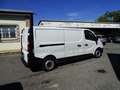 Renault Trafic L1 H1 120CV  PRONTA CONSEGNA Blanc - thumbnail 9