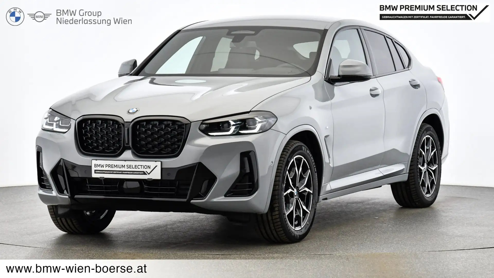 BMW X4 xDrive20d Grau - 1