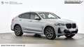 BMW X4 xDrive20d Grau - thumbnail 6