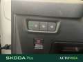 Skoda Kodiaq 2.0 tdi evo sportline 130 edition 4x4 193cv dsg Grigio - thumbnail 15