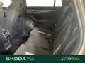 Skoda Kodiaq 2.0 tdi evo sportline 130 edition 4x4 193cv dsg Grigio - thumbnail 13