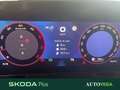 Skoda Kodiaq 2.0 tdi evo sportline 130 edition 4x4 193cv dsg Grigio - thumbnail 14