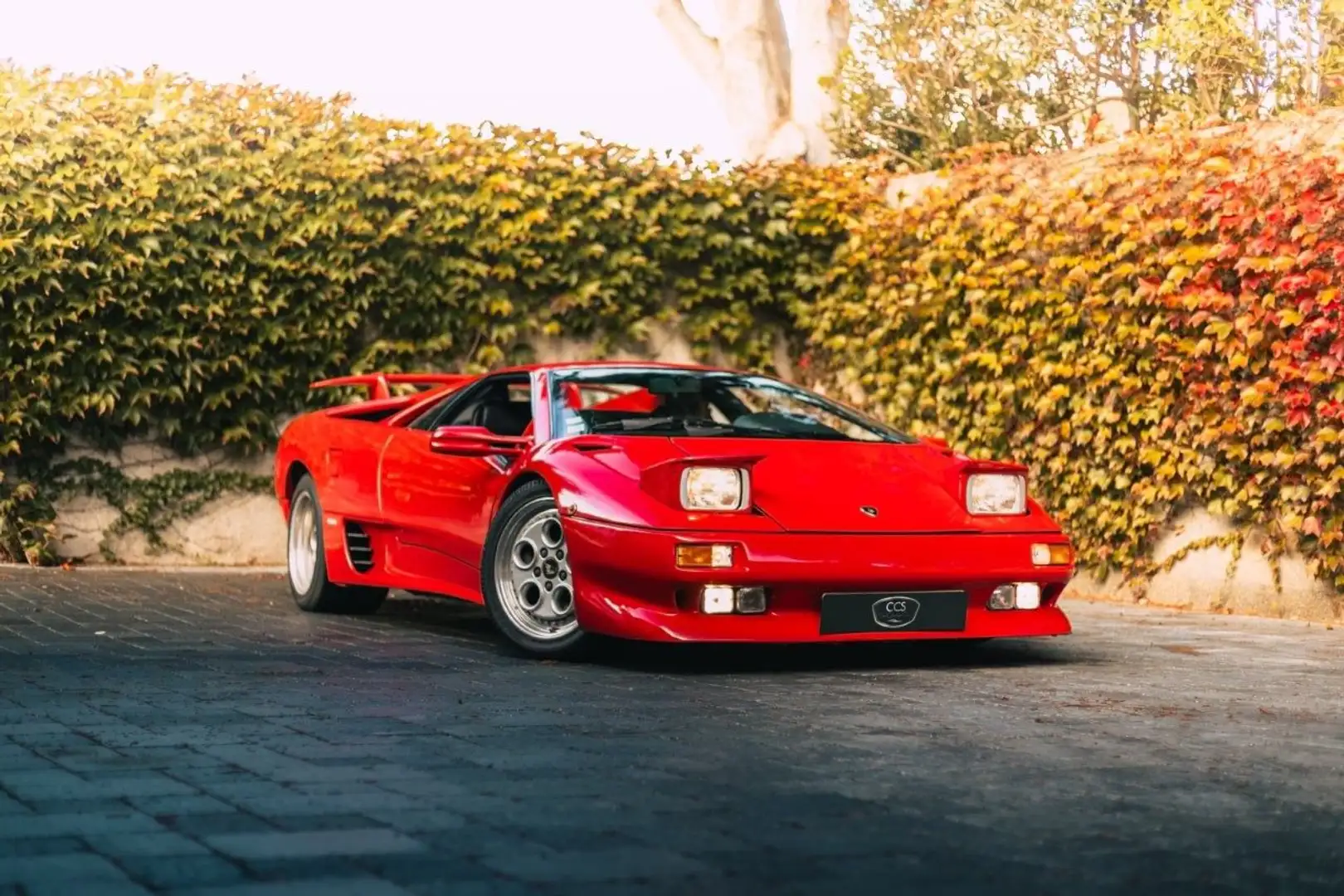 Lamborghini Diablo 5.7L V12 492 ch / COLLECTOR/ NEW PAINT Rood - 1