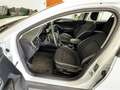 Ford Focus Turnier Cool & Connect Weiß - thumbnail 9