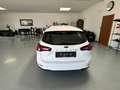 Ford Focus Turnier Cool & Connect Weiß - thumbnail 4