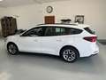 Ford Focus Turnier Cool & Connect Weiß - thumbnail 12