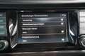 Skoda Fabia 1.0 TSI Best of Clever*LED+PANO+ACC Zilver - thumbnail 13