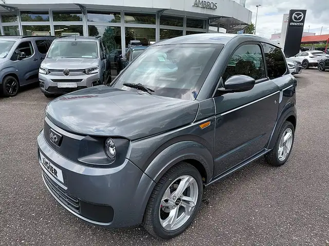 Ligier Myli EPIC 12 kwh + Servo + Klima " Autofahren a...