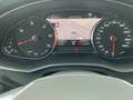 Audi A6 40 TDI S-TR SPORT LED+NAVI+RFK+ACC+360° Gris - thumbnail 17
