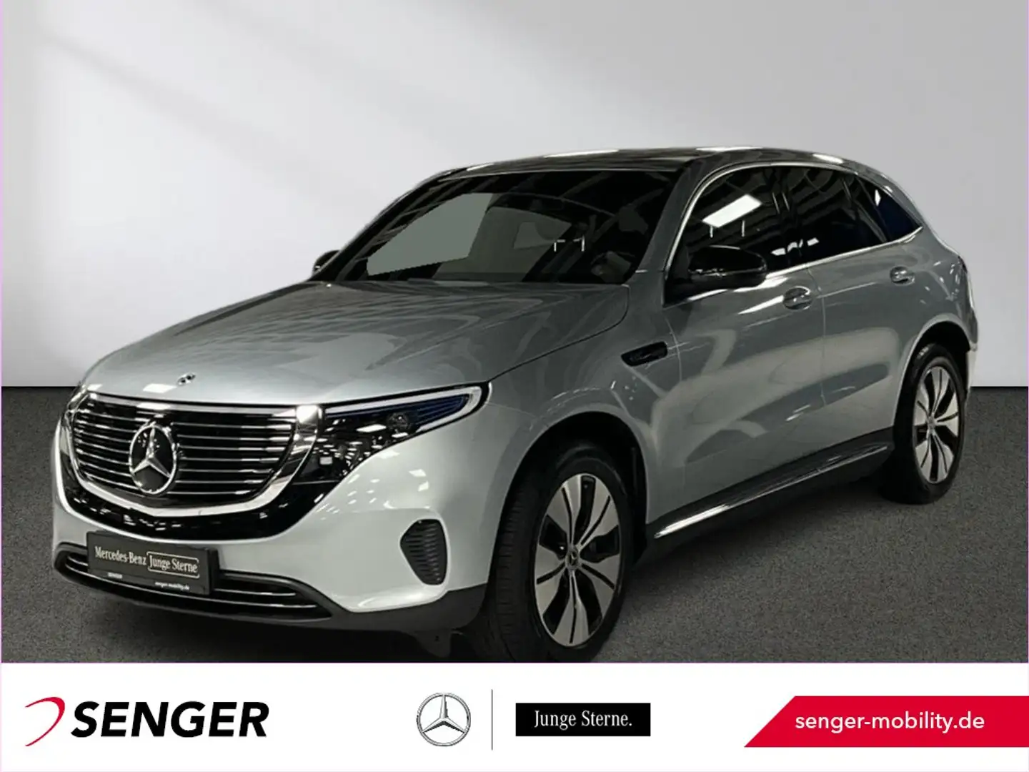 Mercedes-Benz EQC 400 4M Multibeam-LED Rückfahrkamera MBUX AHK Silber - 1