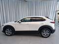 Mazda CX-30 2.5L G140PS 6AT 2WD EXCLUSIVE - LINE Weiß - thumbnail 7