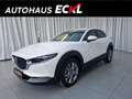 Mazda CX-30 2.5L G140PS 6AT 2WD EXCLUSIVE - LINE Weiß - thumbnail 1