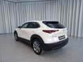 Mazda CX-30 2.5L G140PS 6AT 2WD EXCLUSIVE - LINE Weiß - thumbnail 6