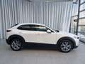 Mazda CX-30 2.5L G140PS 6AT 2WD EXCLUSIVE - LINE Weiß - thumbnail 4