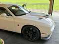 Dodge Challenger V8 6.4l Scat Pack Österreichische Erstauslieferung Weiß - thumbnail 7