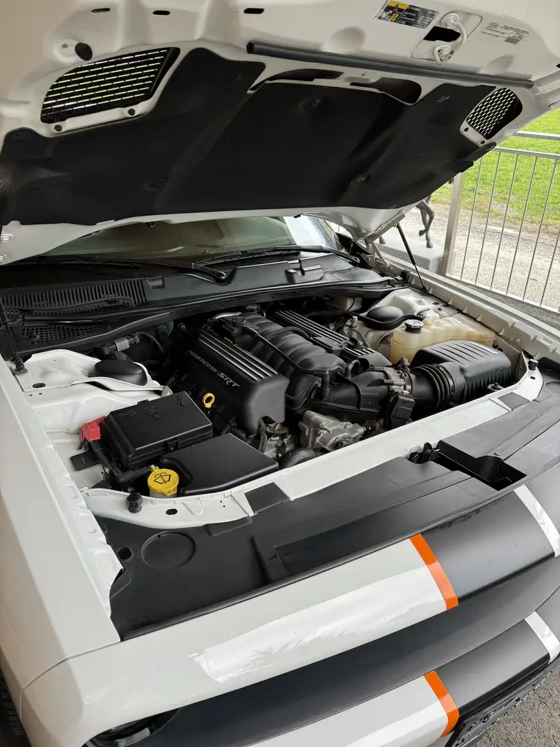 Dodge Challenger V8 6.4l Scat Pack Österreichische Erstauslieferung Weiß - 1