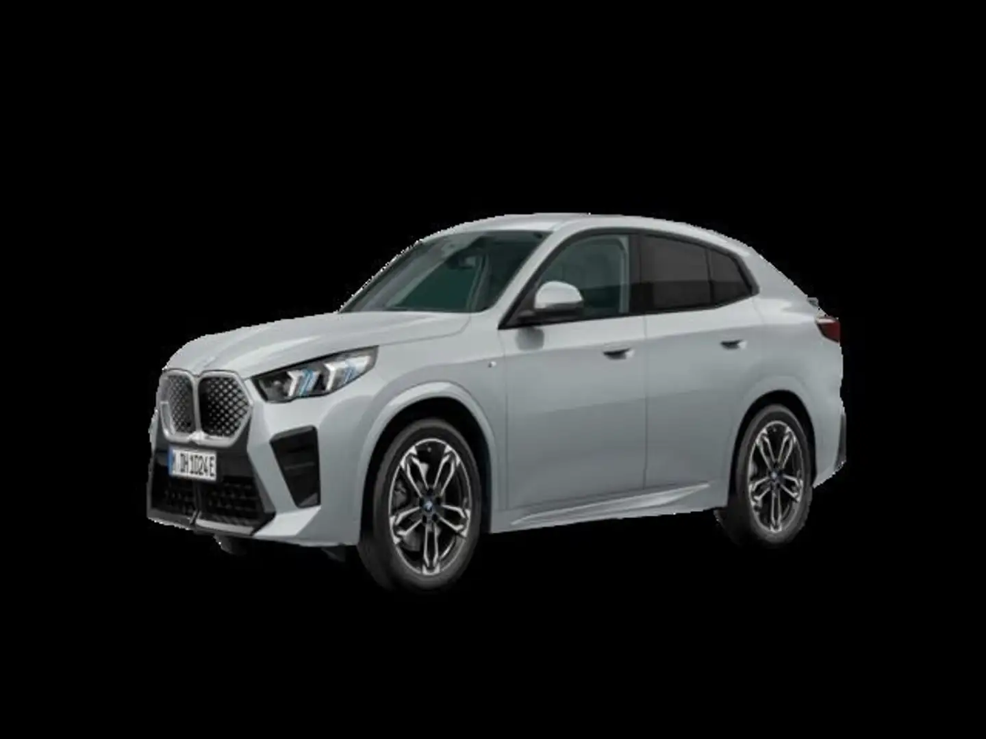 BMW iX2 xDrive30A Gris - 2
