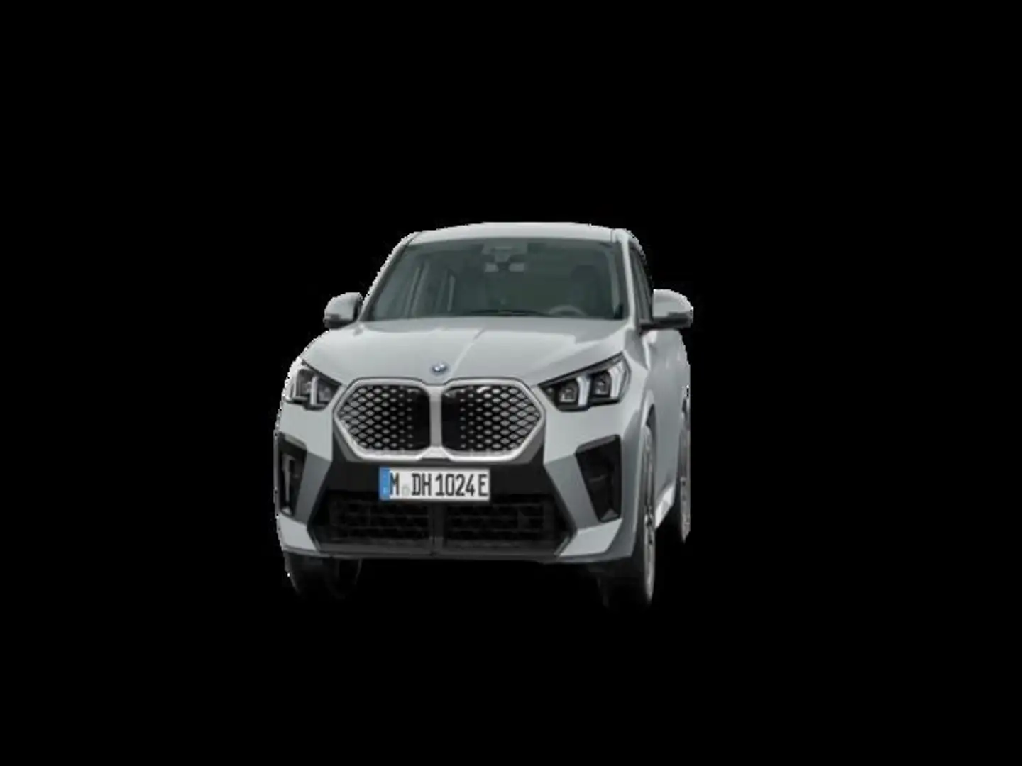 BMW iX2 xDrive30A Gris - 1