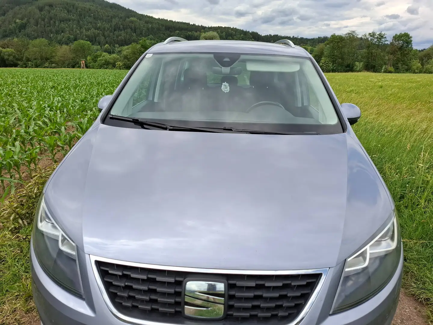 SEAT Alhambra Alhambra Executive 2,0 TDI 4WD Executive Silber - 2