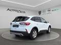 Ford Kuga 3ª serie 1.5 EcoBoost 120 CV 2WD Connect Bianco - thumbnail 5