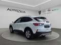 Ford Kuga 3ª serie 1.5 EcoBoost 120 CV 2WD Connect Bianco - thumbnail 7