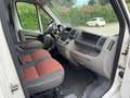 Fiat Ducato cassonato - thumbnail 8