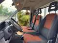 Fiat Ducato cassonato - thumbnail 6