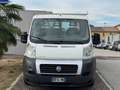 Fiat Ducato cassonato - thumbnail 3